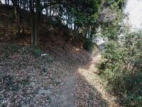 Teraochausuyama6.jpg