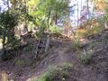 Thumbnail for version as of 11:10, 6 February 2022