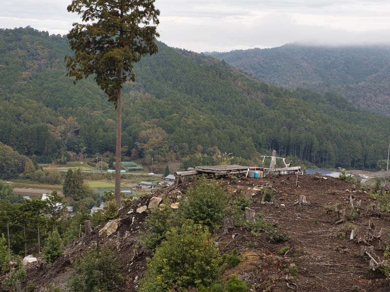 File:Habukyoto21.jpg