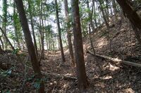 Hanazonomitake13.jpg