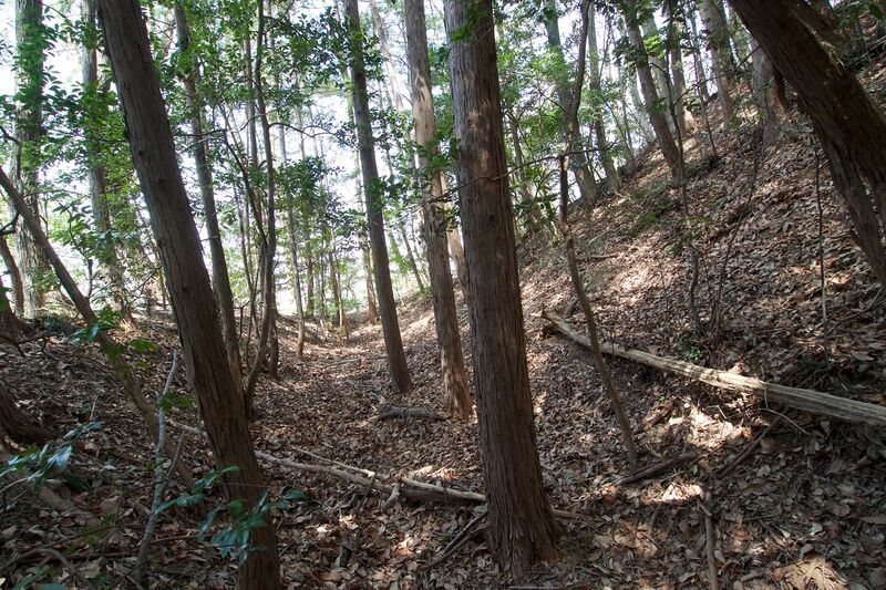 File:Hanazonomitake13.jpg