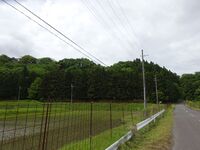 Hill of Otowajô.JPG