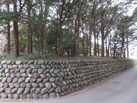 InaTanagijou (10).JPG