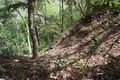Thumbnail for version as of 13:25, 24 June 2017
