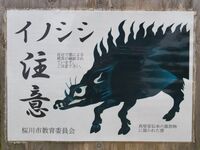 Makabe44.jpg