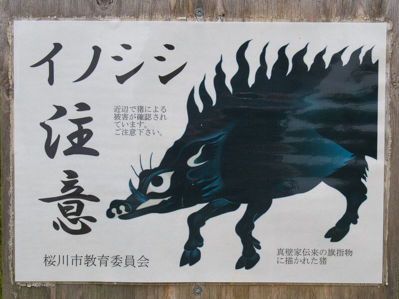 File:Makabe44.jpg
