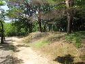 NakayamaToride02.JPG
