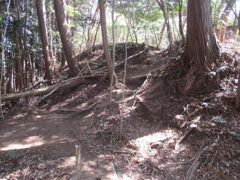 File:NukataChausuyamajou (23).jpg