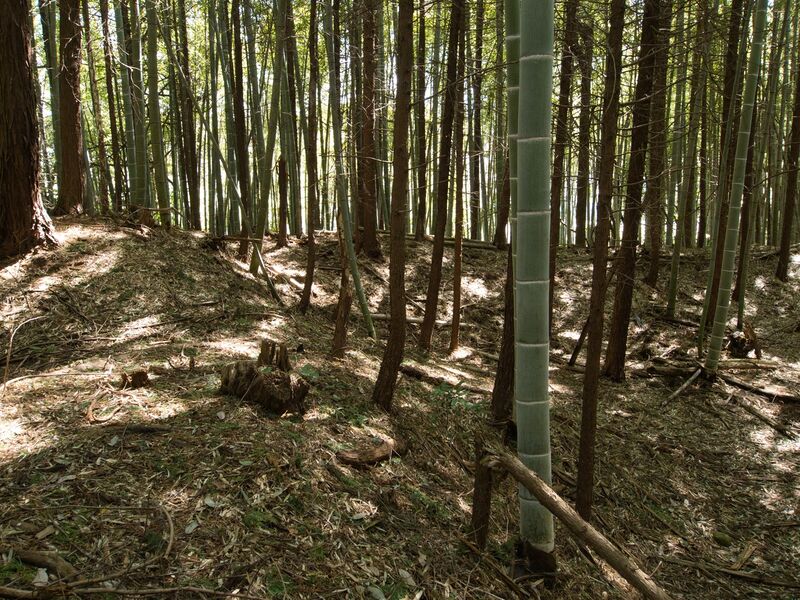 File:Shimoyamakita13.jpg
