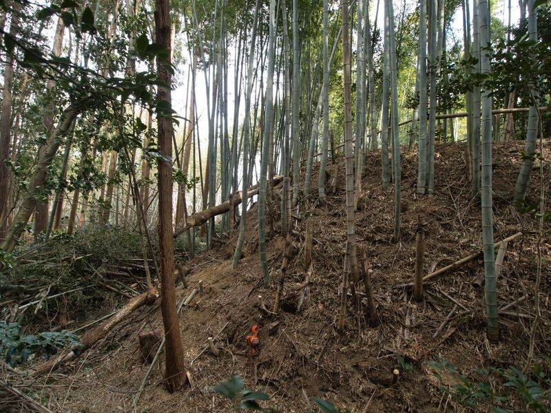 File:Takenaka22.jpg