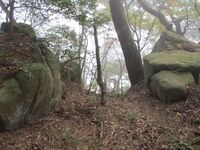 WakamiyaIriyamajou (3).JPG