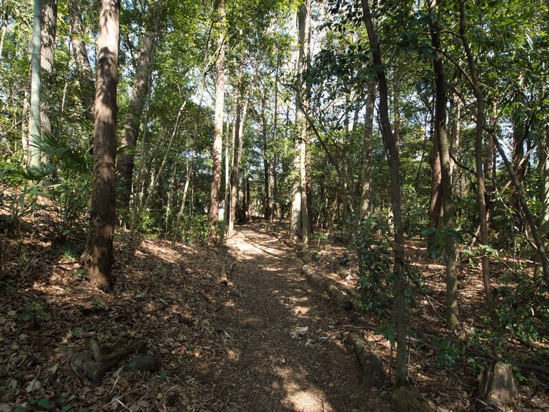 File:Inayashiki11.jpg