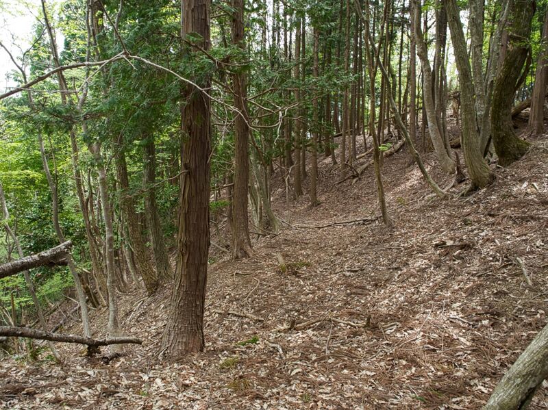 File:Shobudani21.jpg