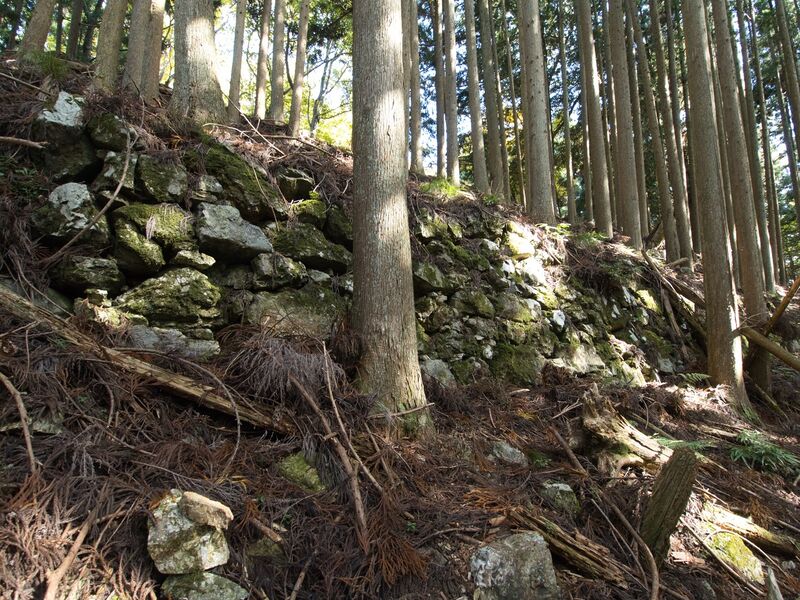 File:Shuzan46.jpg