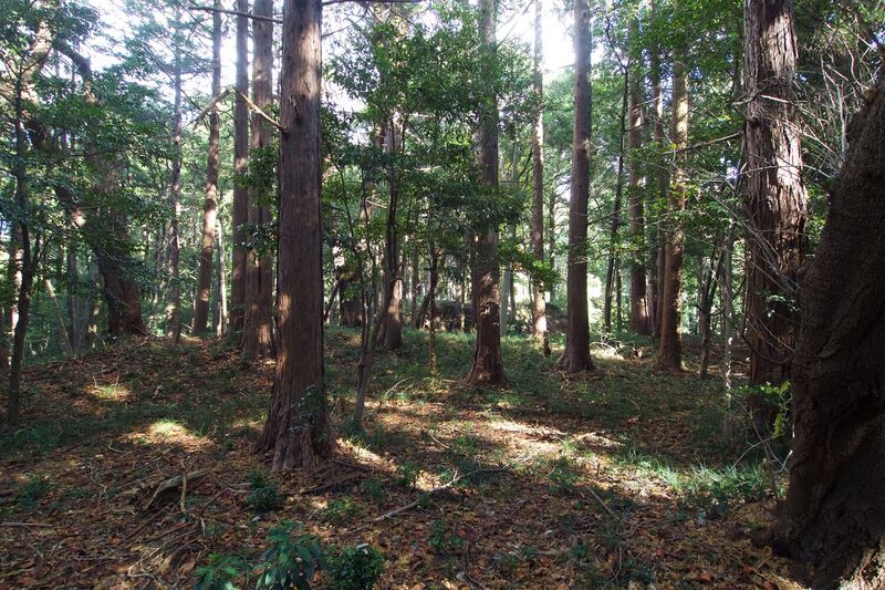 File:Takatome28.jpg