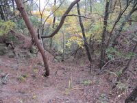 WakamiyaIriyamajou (6).JPG
