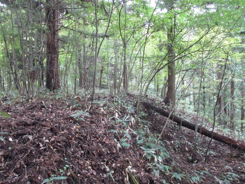 File:Yokosearagamiyamajou (3).jpg