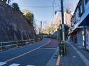 Hiratsuka1.jpg