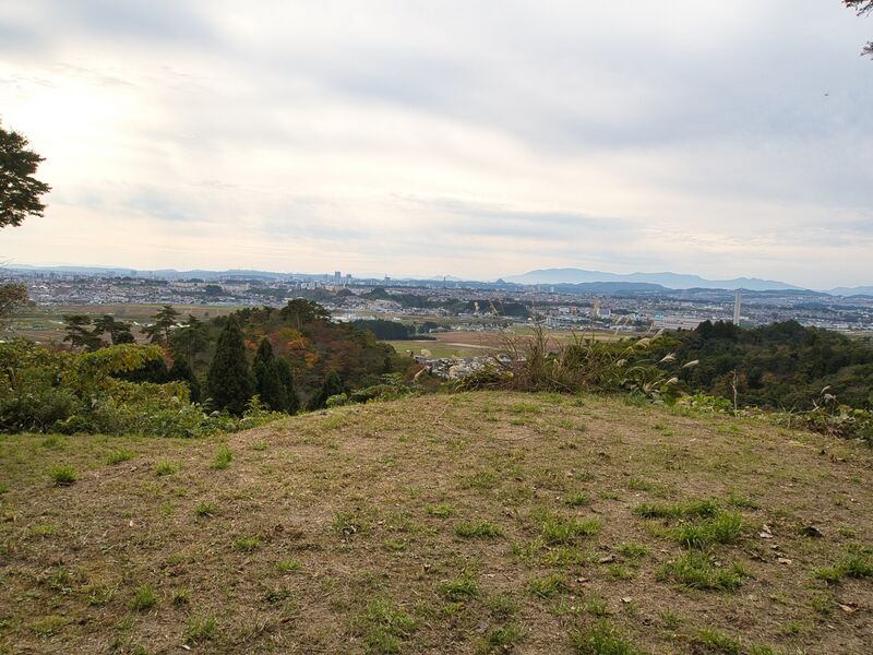 File:Iwakiri1.jpg