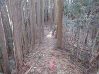 Kabutojou009.jpg