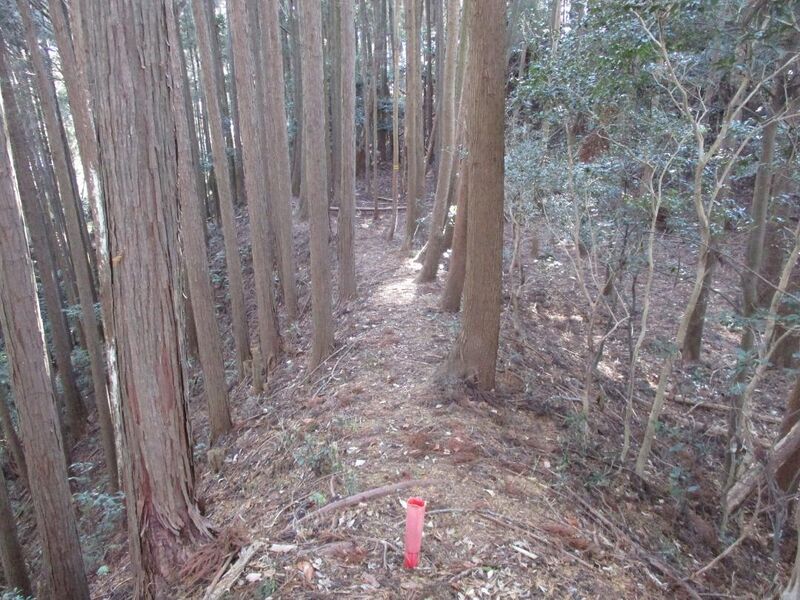 File:Kabutojou009.jpg