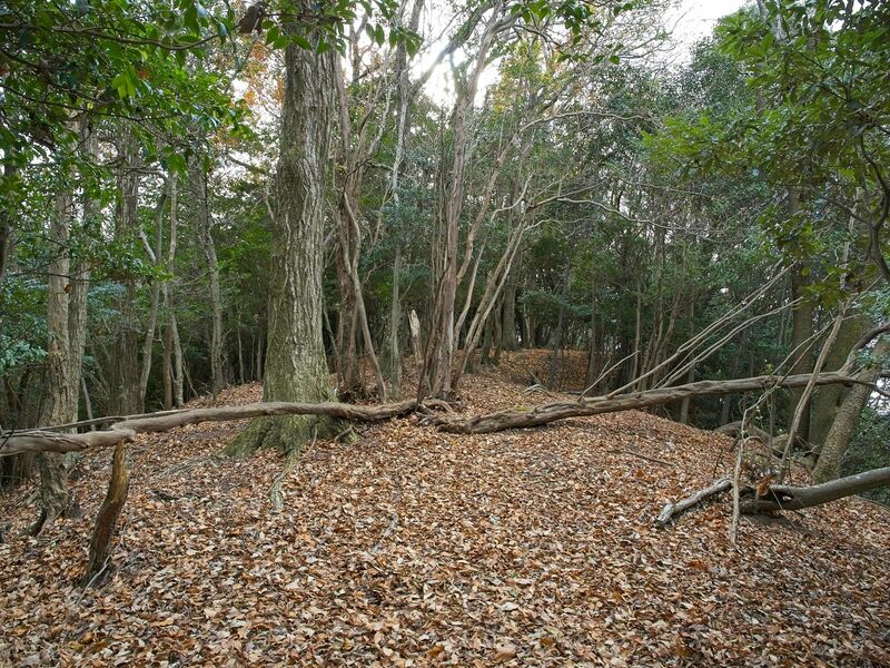 File:Nakaokyoto16.jpg