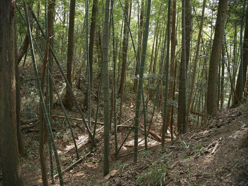 File:Ogawanishinokoka25.jpg