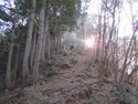 SakurasawaToride10.JPG
