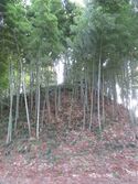 Urizurajou (8).JPG