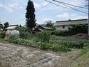 AzumiUchiboriYakata (6).JPG