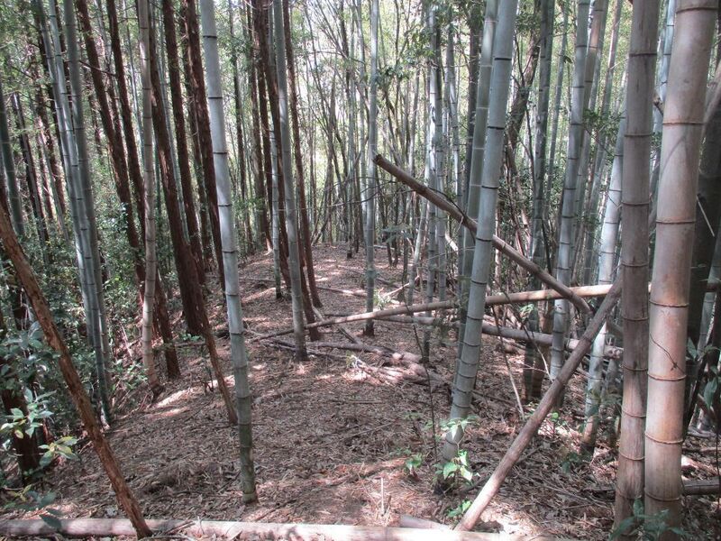 File:Chikaokajou (2).jpg