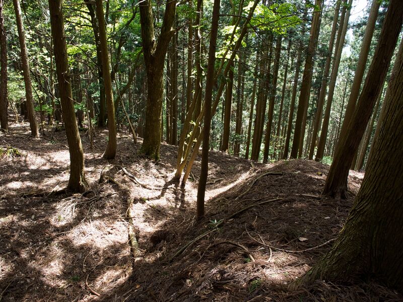 File:Dogiyama28.jpg