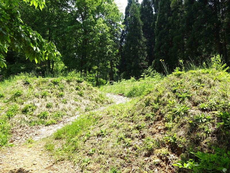 File:Futogejô(path between 3rd and 2nd kuruwa2).JPG