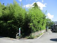 HayashiKoheeYashiki (2).JPG