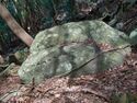 Heda quarry50.jpg
