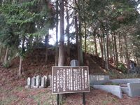 InaMinowajou (6).JPG