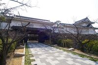 Kishiwada12.jpg