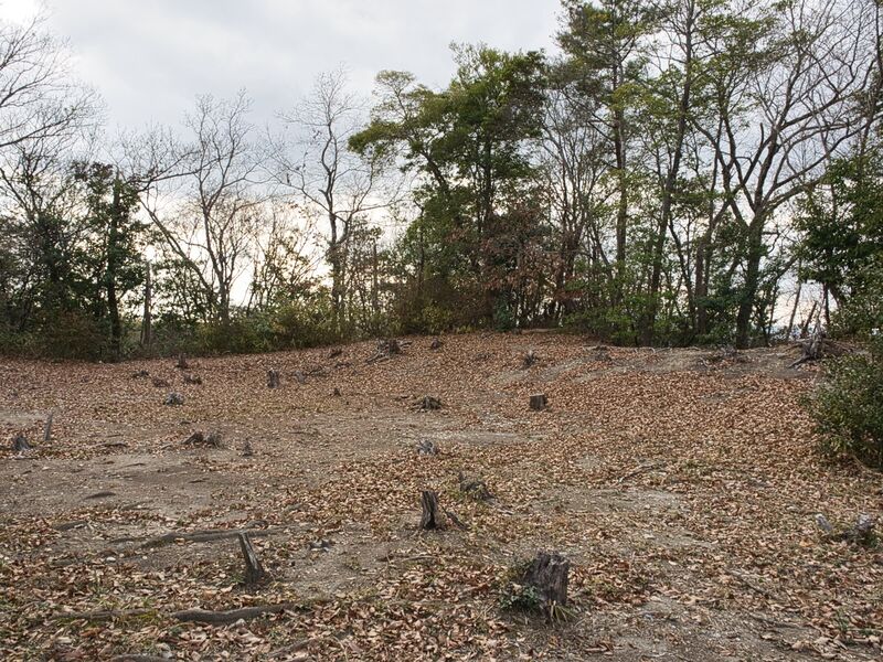File:Kizukyoto14.jpg