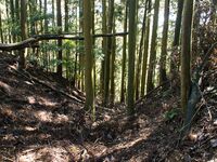 Kogaminekyoto20.jpg