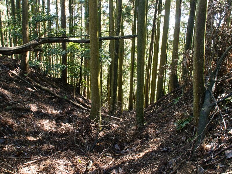 File:Kogaminekyoto20.jpg