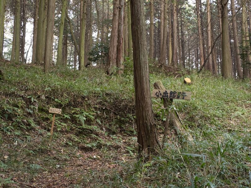 File:Koideyakatakyoto1.jpg