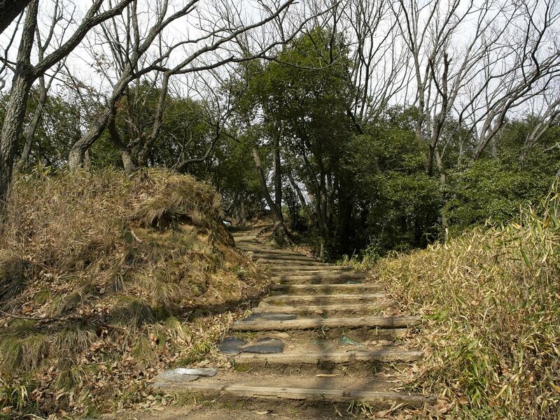 File:Nozaki3.jpg