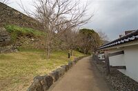 Ozu40.jpg
