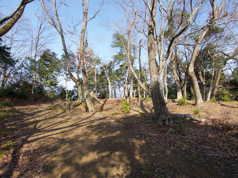 File:Sawayama5.jpg