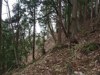 Shigiyama12.jpg