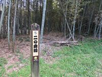 TohtoumiIidajou008.jpg
