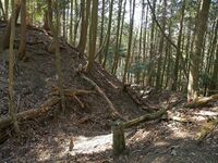 Tsuchiyamakoka19.jpg