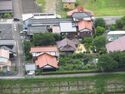 TsuwanojouMorike15.JPG