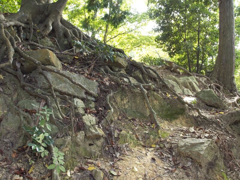 File:Yamazaki24.jpg