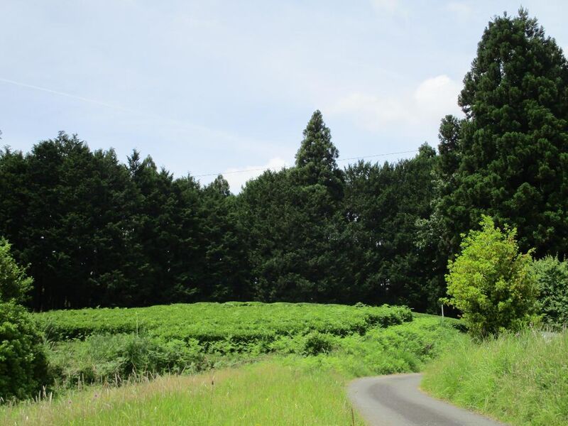 File:DamineYashiki (1).jpg